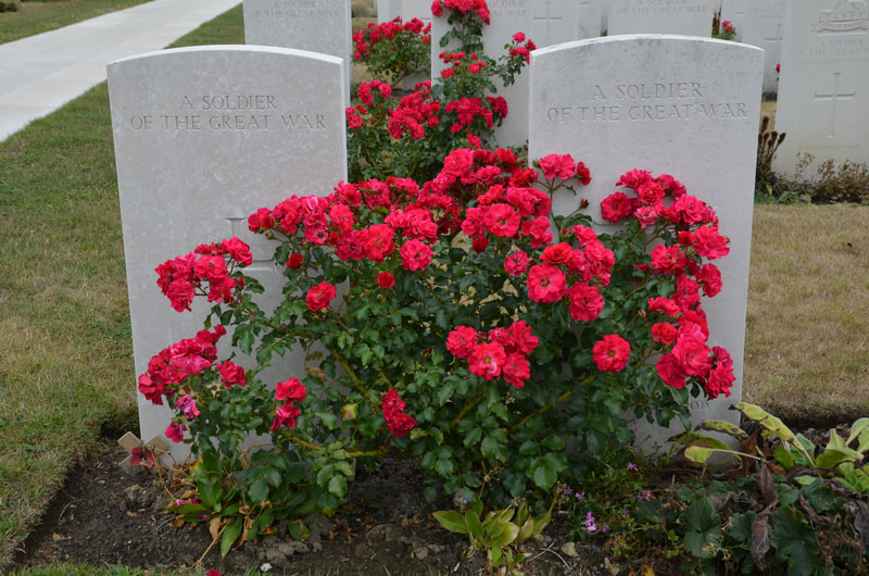 Cementerio Tyne Cot. Bélgica.
